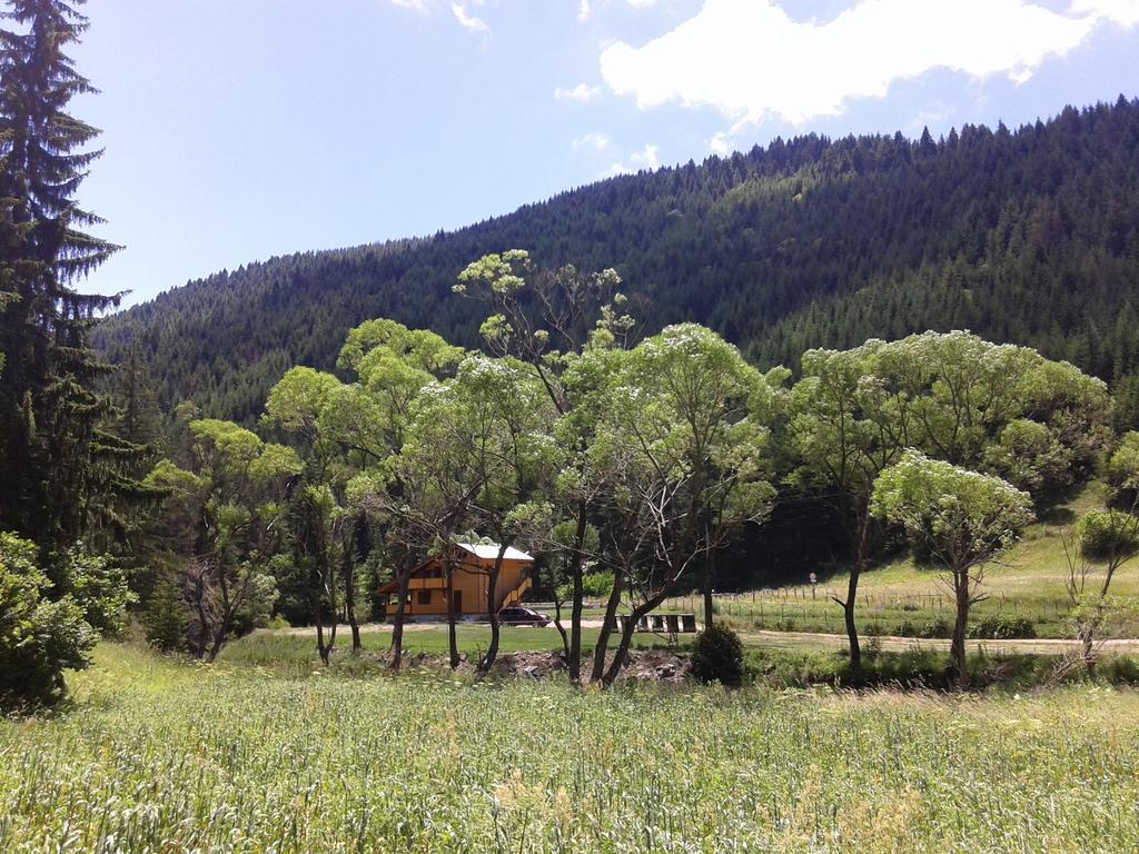 Guest House Chobaka Trigrad Εξωτερικό φωτογραφία
